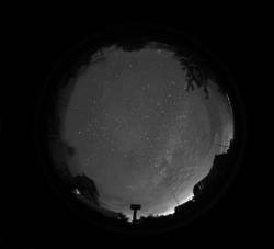 Parhelia : First Light